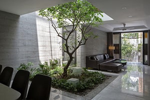 Nhà ống đẹp phá cách trong ngõ nhỏ ở Hà Nội