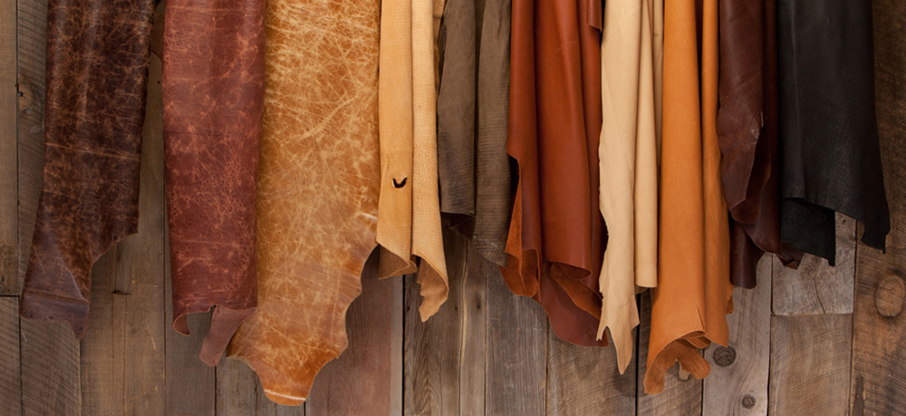 Da bò thật Italia