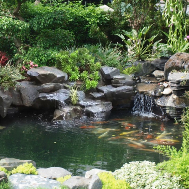 Tiểu cảnh sân vườn hồ nước Tiểu cảnh sân vườn hồ nước