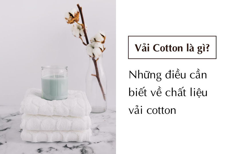 Vải Cotton là gì? Những điều cần biết về chất liệu vải cotton