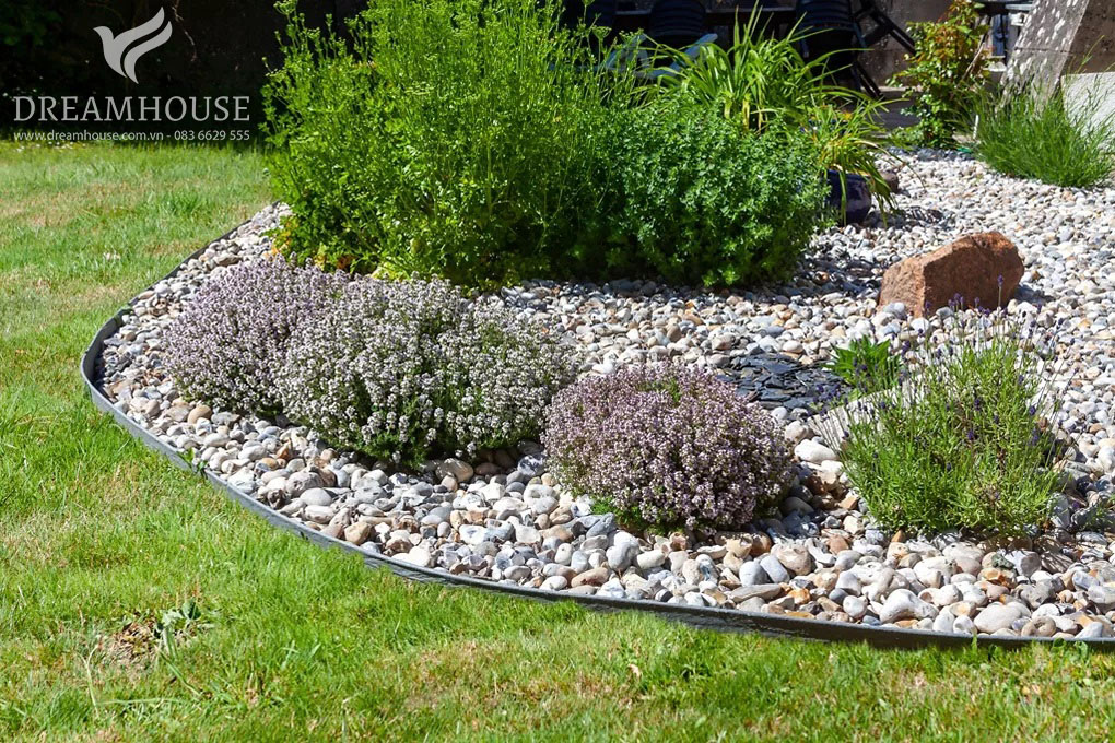 Khu vườn đá với sự kết hợp của sỏi, đá và các loại cây chịu hạn như cây mọng nước và cây lâu năm, mang đến vẻ đẹp dễ chăm sóc cho không gian ngoài trời.