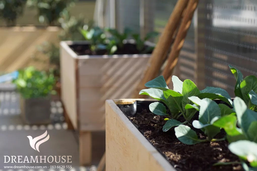Các thùng chứa vườn nâng cao với nhiều loại cây xanh tươi tốt, mang đến giải pháp bảo dưỡng thấp cho việc làm vườn dễ dàng.