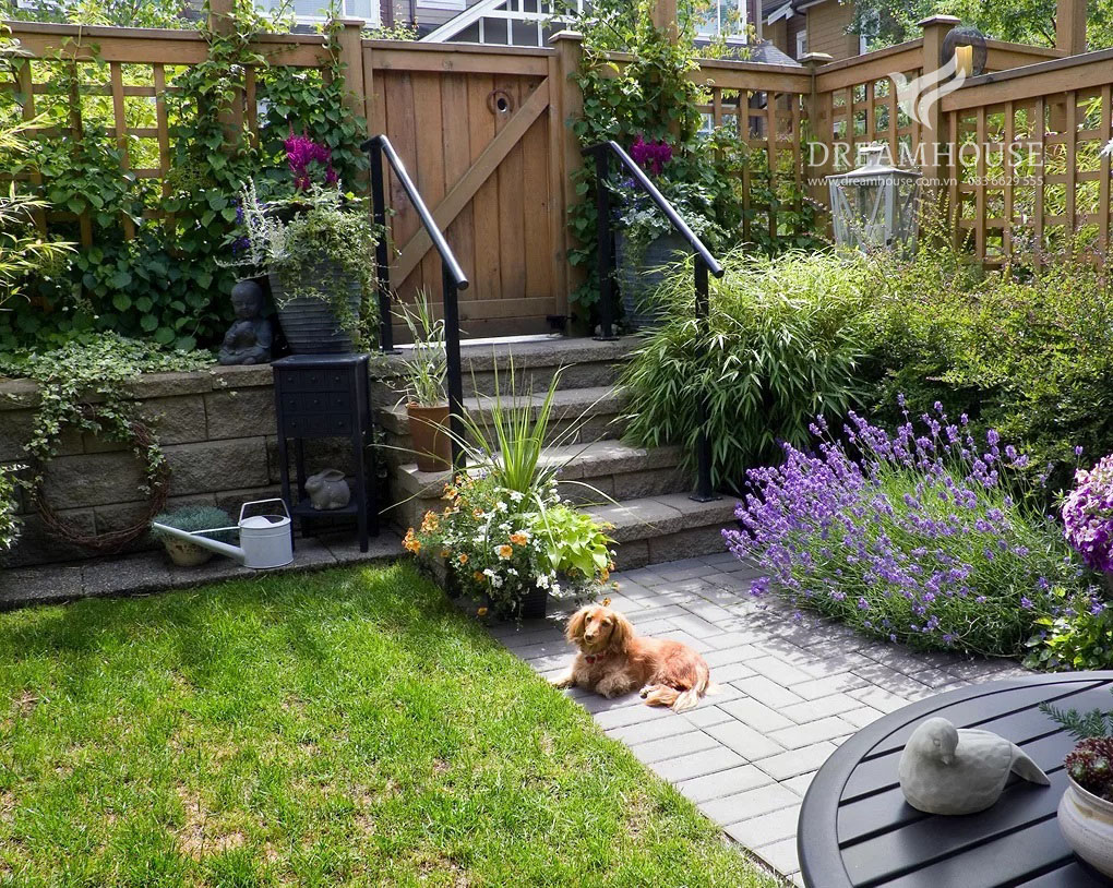 Một khu vườn phía sau có bãi cỏ và lối đi lát đá dẫn đến cổng sau, được bao quanh bởi các tấm lưới mắt cáo có trồng cây leo.